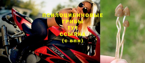 МДМА Дмитриев