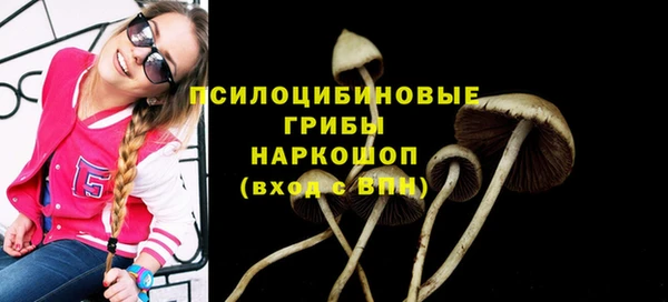 хмурый Янаул