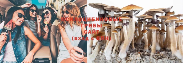 прущие крисы Дмитров
