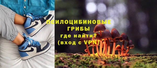мдпв Дмитровск