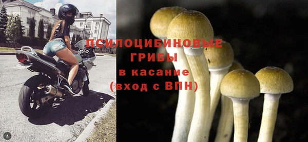 прущие крисы Дмитров