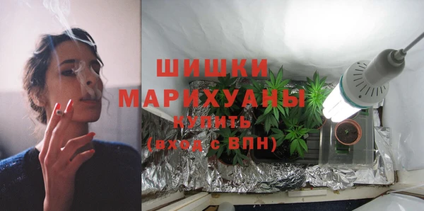 мдпв Дмитровск